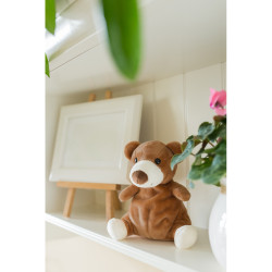 Pluszowy miś | Ragan