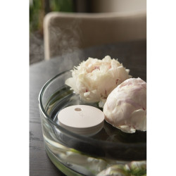 Nawilżacz powietrza Breevia