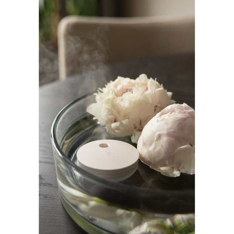 Nawilżacz powietrza Breevia