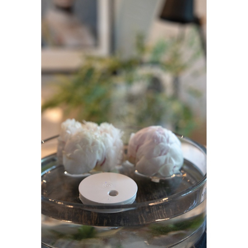 Nawilżacz powietrza Breevia