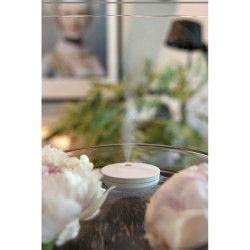 Nawilżacz powietrza Breevia