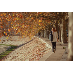 Bobby Bizz 20 plecak chroniący przed kieszonkowcami