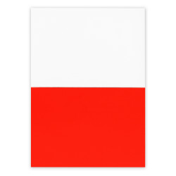 Elektrostatyczne karteczki samoprzylepne | Rolly