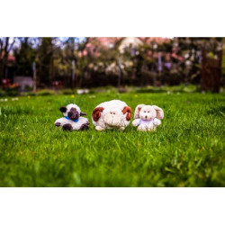 Pluszowy zając | Felix