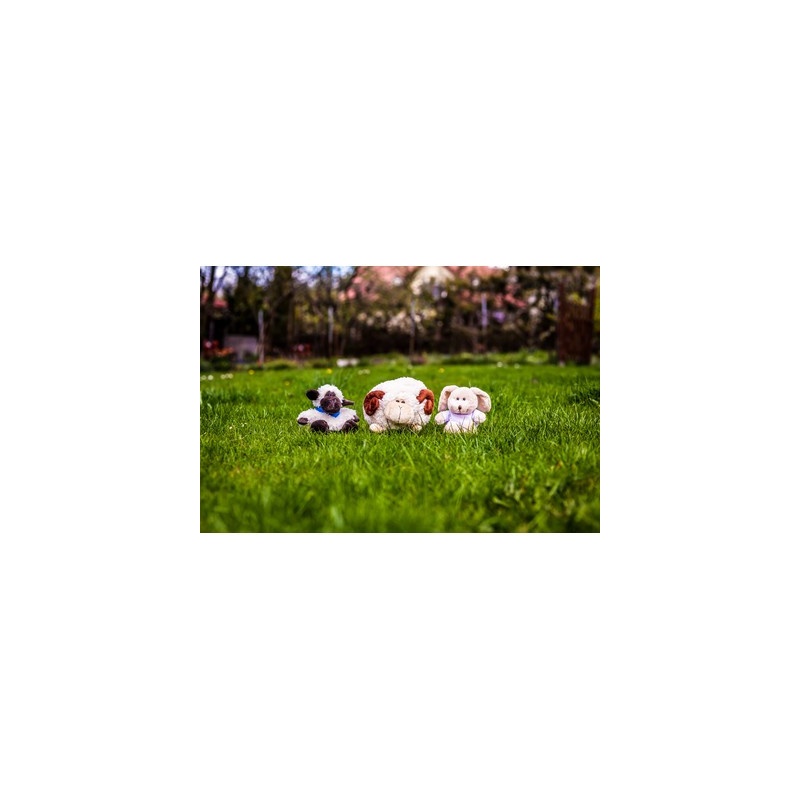 Pluszowy zając | Felix