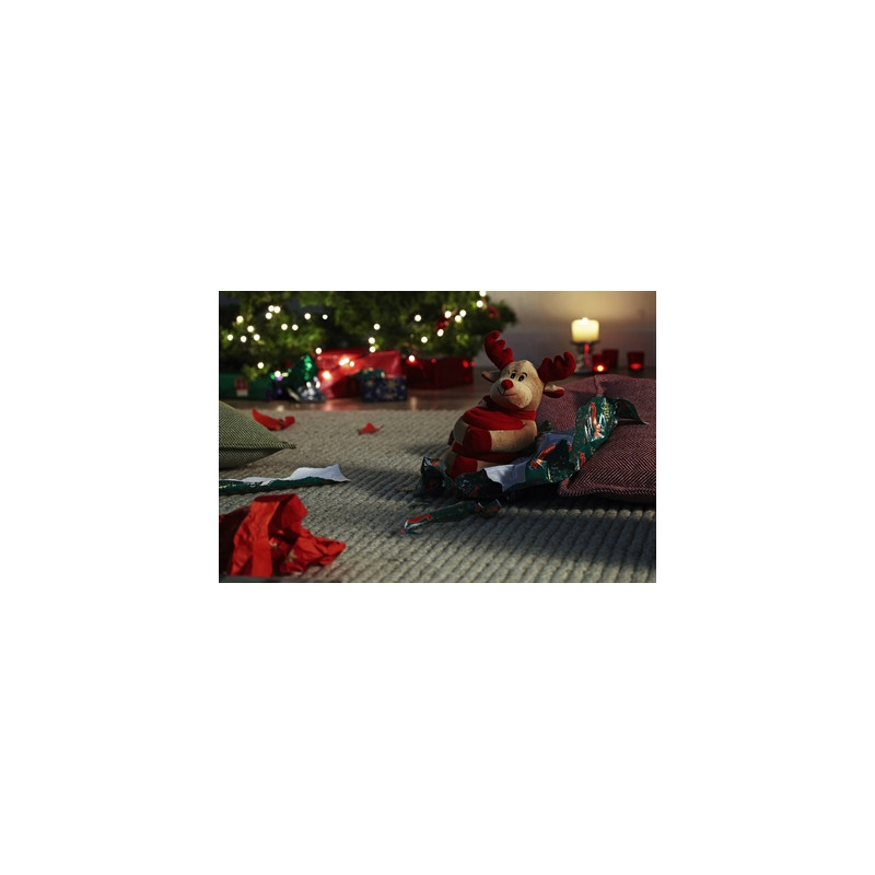 Pluszak z kocem polarowym