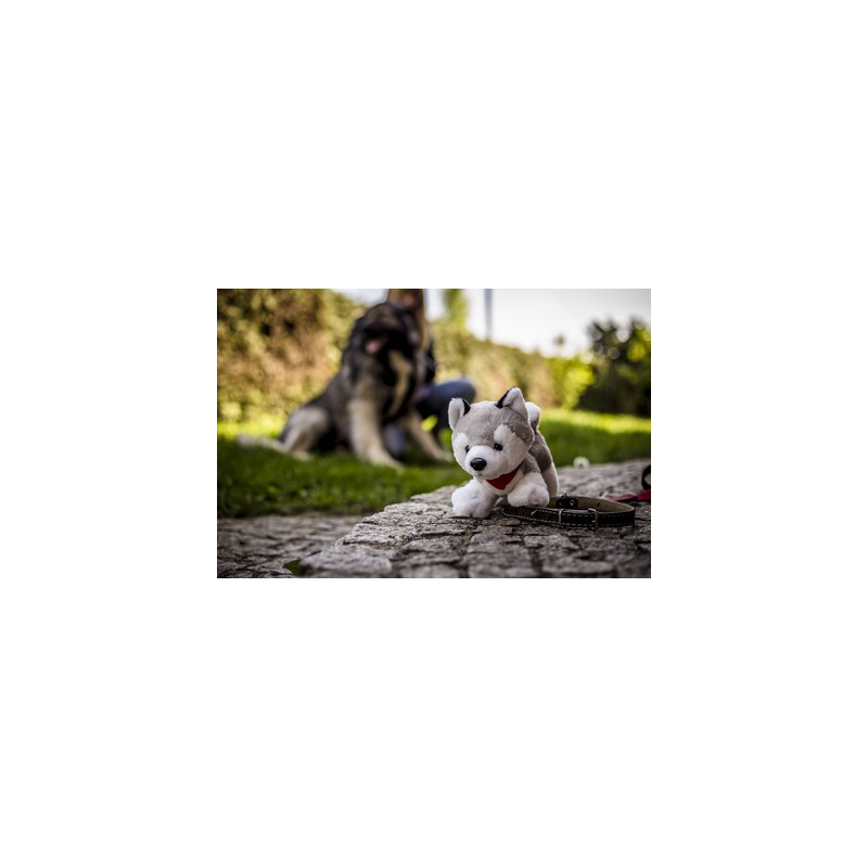 Pluszowy pies husky | Trooper