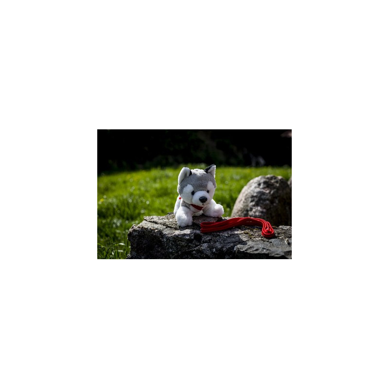 Pluszowy pies husky | Trooper