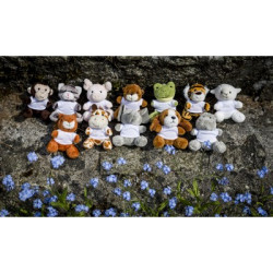 Pluszowa świnka brelok | Fanny