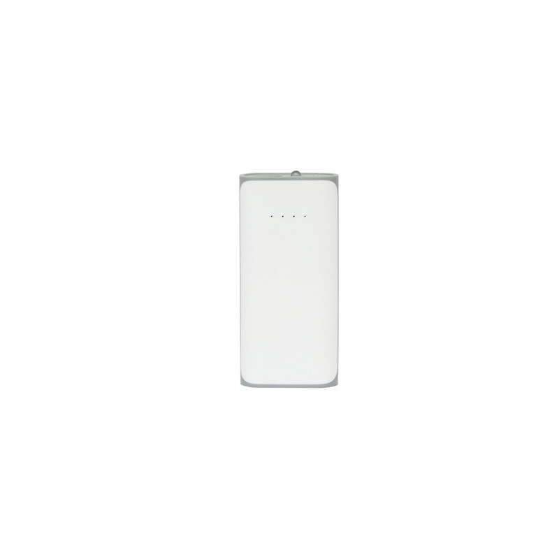 Power bank 4000 mAh | Birch