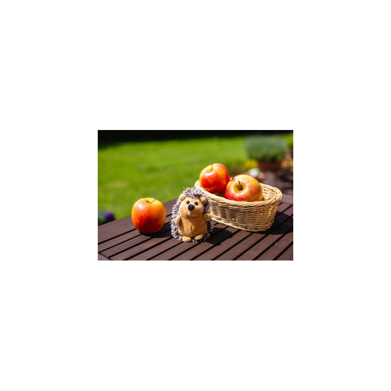 Pluszowy jeż | Spiky