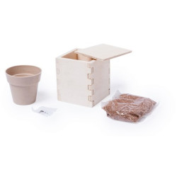 Mięta pieprzowa z doniczką drewniana osłonka na doniczkę