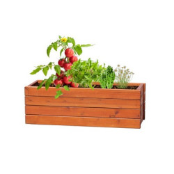 Zestaw kul z nasionami 4 rodzaje nasion