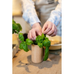 Drewniana doniczka nasiona bazylii i ziemia | Dottie