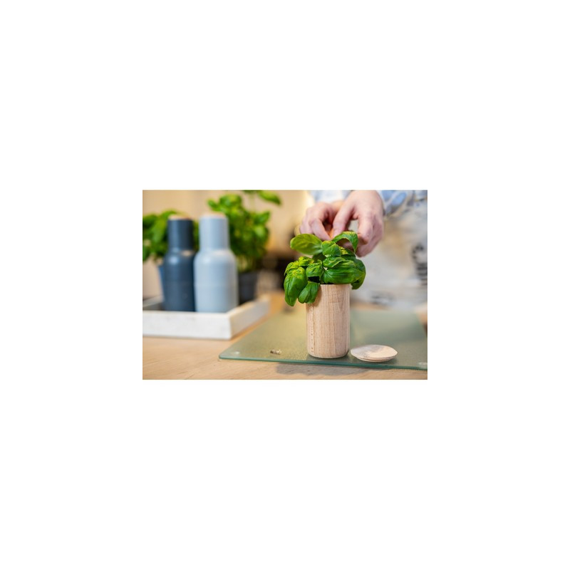Drewniana doniczka nasiona bazylii i ziemia | Dottie