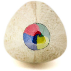 Ołówek wielokolorowy rysik