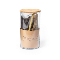 Szklane terrarium nasiona kaktusa