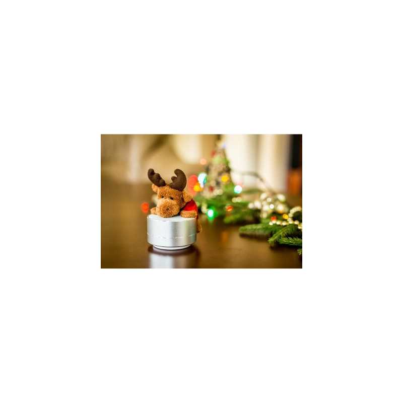 Głośnik bezprzewodowy radio | Silas