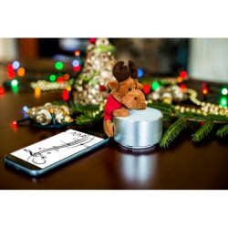 Głośnik bezprzewodowy radio | Silas