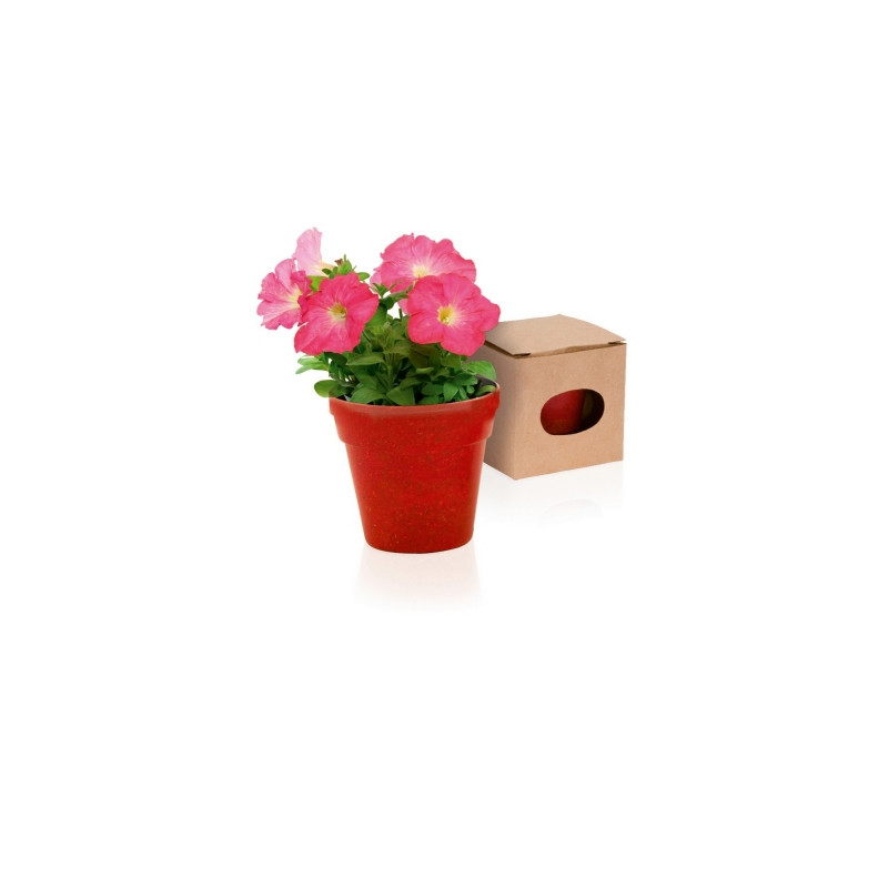 Doniczka do kwiatów 5-8 nasion petunii i ziemia