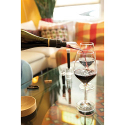 Zestaw akcesoriów do wina Vino Connoisseur 4 el