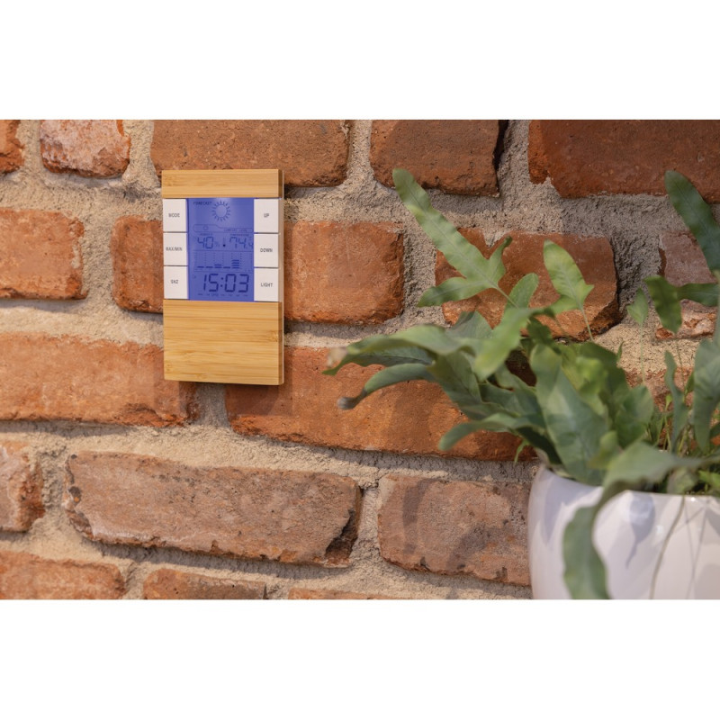 Bambusowa stacja pogodowa Utah RABS