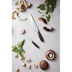 Zestaw noży VINGA Kaiser 2 szt