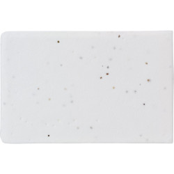 Zestaw do notatek karteczki samoprzylepne papier z nasionami