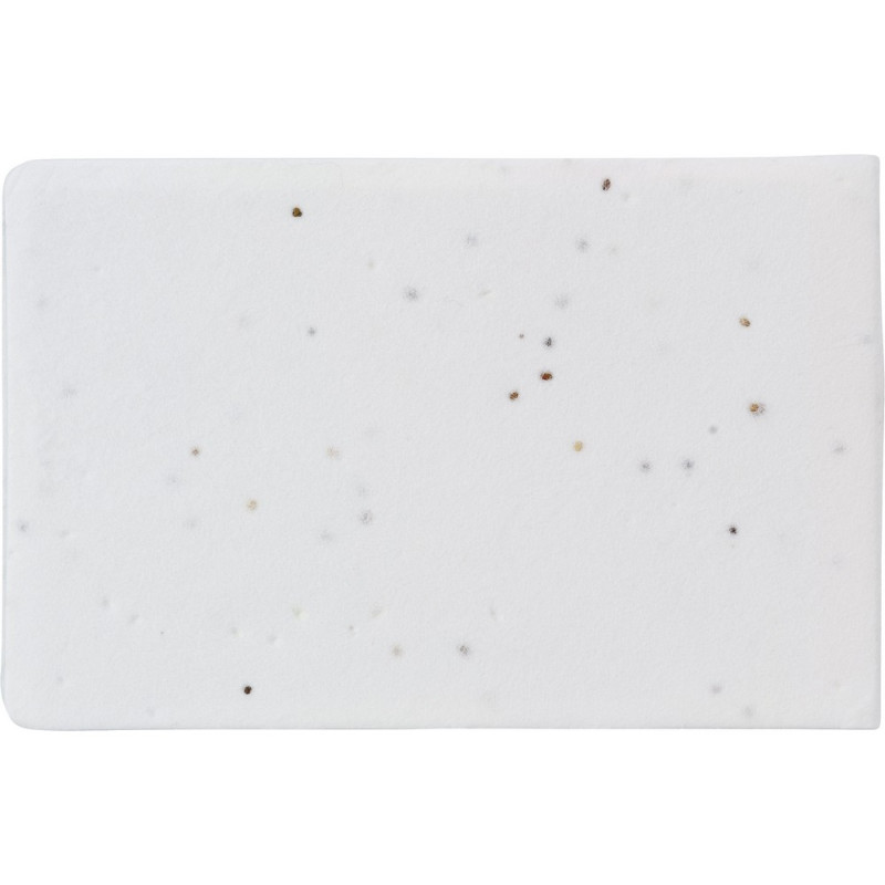 Zestaw do notatek karteczki samoprzylepne papier z nasionami