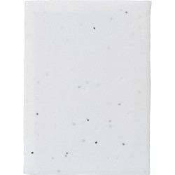 Zestaw do notatek karteczki samoprzylepne papier z nasionami