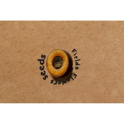 Teczka na dokumenty ok A4 z kartonu z recyklingu z nasionami dzikich kwiatów