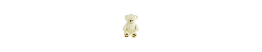FOFCIO Promo Toys